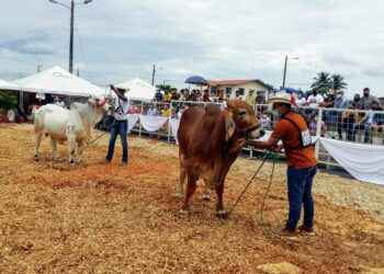 Primera feria “Renacer Ganadero” en Sucumbíos