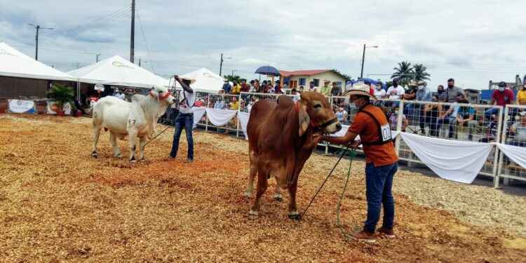 Primera feria “Renacer Ganadero” en Sucumbíos
