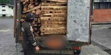 Mientras se investiga, el camión y la madera permanecerán en el patio de retención.