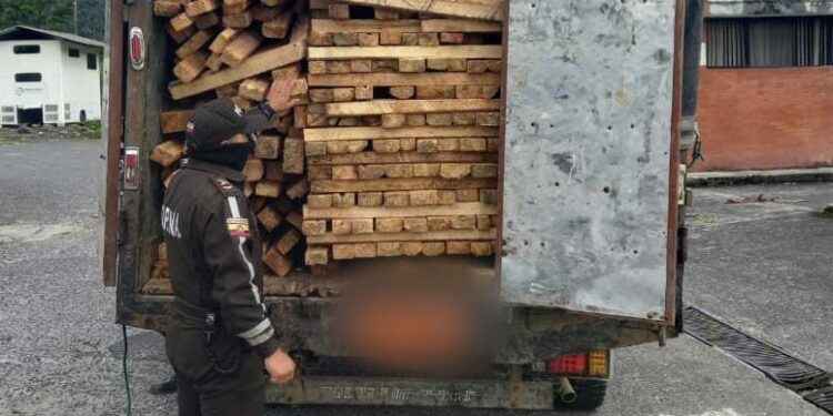 Mientras se investiga, el camión y la madera permanecerán en el patio de retención.