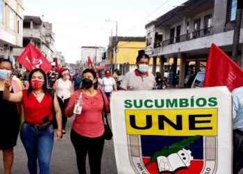 A fin de mes la UNE va a movilizaciones por veto presidencial a la LOEI