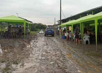 Emprendimientos de arte, salud y permacultura en feria La Esperanza