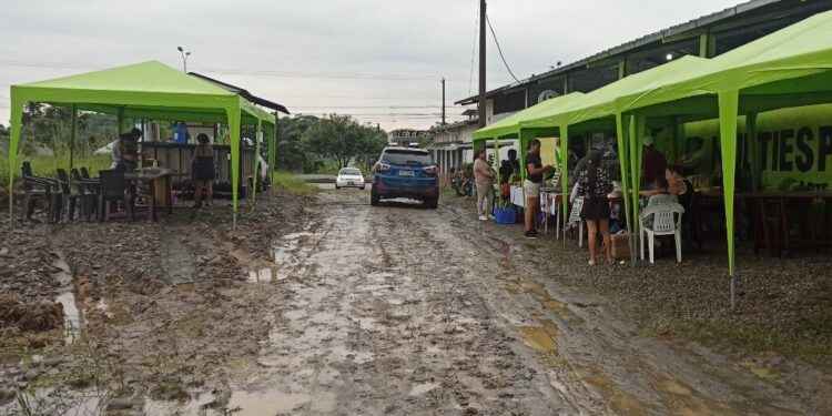 Emprendimientos de arte, salud y permacultura en feria La Esperanza