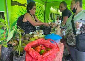 Festival la Esperanza, un espacio para proyectos saludables