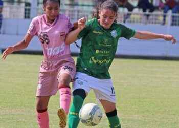 Cada año existe la oportunidad para que las jugadoras realicen las pruebas.