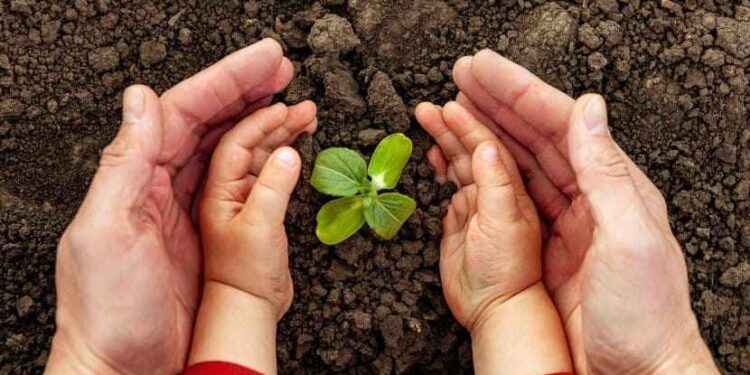 Constantemente se recalca entregar un mundo mejor a las futuras generaciones.