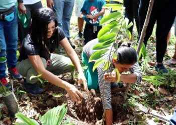 Más de 172 familias de la parroquia Puerto Napo recibieron 7.840 plantas de frutas.