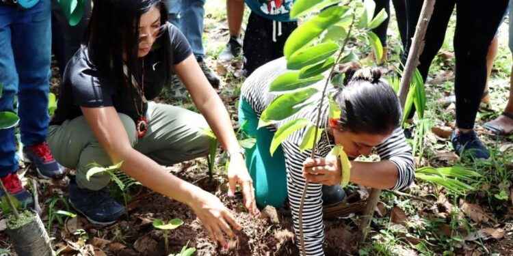 Más de 172 familias de la parroquia Puerto Napo recibieron 7.840 plantas de frutas.