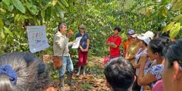 Con la capacitación, agricultores aspiran mejorar la producción del cacao