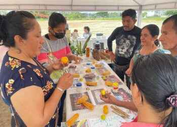 El espacio destinado para emprendedores y sus productos va creciendo con el pasar del tiempo