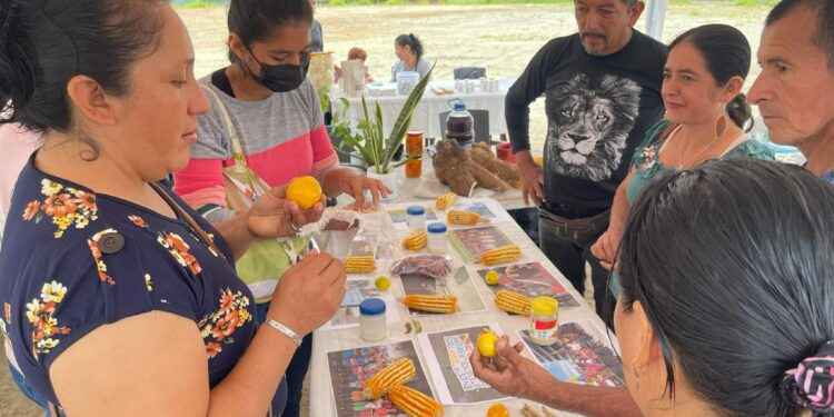 El espacio destinado para emprendedores y sus productos va creciendo con el pasar del tiempo