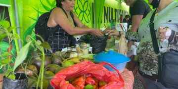 Festival la Esperanza, proyectos enfocados en la vida