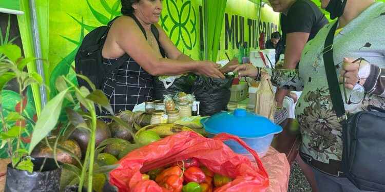 Festival la Esperanza, proyectos enfocados en la vida