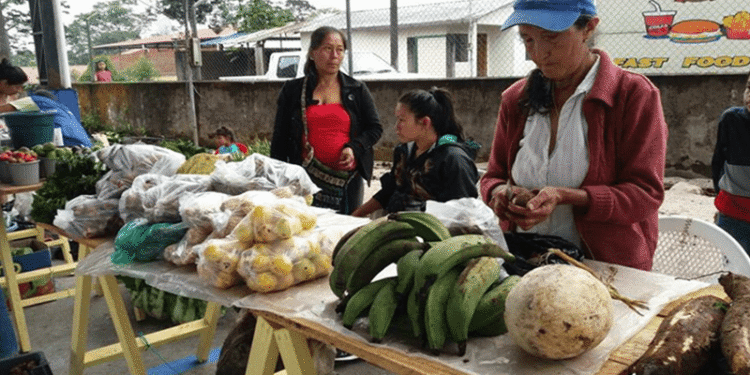 Productos de la zona fueron vendidos a precios elevados