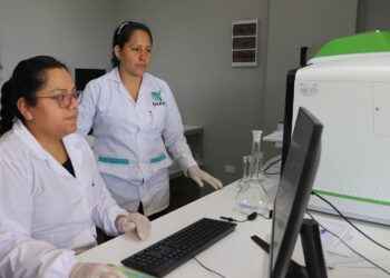 Alianzas estratégicas entre instituciones locales e internacionales permitirán que 1500 agricultores sean beneficiados. El pasado 9 de Julio del 2022, iniciaron las operaciones del laboratorio de suelos denominado «Toni El Suizo», que está ubicado en terrenos del Instituto Tecnológico Superior Crecer Más. Obra ejecutada por la conformación de alianzas estratégicas entre el Gobierno Provincial de Sucumbíos, Cooperación Internacional del FIEDS, Istec y Misión Scalabriniana. Se estima que 1500 personas agricultoras de Lago Agrio, Shushufindi, Cuyabeno, Putumayo serían los beneficiarios directos. En la inauguración de la obra destinada a la investigación, Enrique Fuentes, rector del Instituto Tecnológico Superior Crecer Más, manifestó que el nuevo laboratorio tiene el equipamiento adecuado para apoyar al sector agro productivo de la provincia. “Poder saber la fertilidad de nuestros suelos es tan importante y eso el agricultor lo sabe, además sabremos cuán contaminados estarán nuestros suelos para tomar los cuidados necesarios”, añadió. Primer laboratorio en la provincia La obra adquiere relevancia al convertirse en el primer laboratorio de este nivel en la provincia. Obtener los análisis físicos y químicos del suelo, agua y foliares permitirán diagnosticar e interpretar el estado de los suelos para una correcta fertilización y aprovechamiento agrícola. El Gobierno Autónomo Descentralizado Provincial de Sucumbíos, a través de Amado Chávez, prefecto de Sucumbíos, señaló que el proyecto alcanzó un financiamiento de aproximadamente 4 millones de dólares. “Solamente un estudio puede darnos respuestas sobre que alimentos le faltan a los cultivos, al suelo”, expresó. A conocer que requieren las plantas para desarrollar Rosa Macas, agricultora en la parroquia Santa Cecilia, comentó sobre esta nueva obra. “Con esos estudios yo podré saber que le falta a mis plantas, encontrar que vitamina debe colocarle en el suelo”. En el informe anual 2020, el departamento de Manejo de Suelos y Aguas de la Estación Central de la Amazonía, tras receptar 1967 muestras de suelo en ese año, recomienda que para el ejercicio de estudios del suelo se debe realizar la adquisición de reactivos y mantenimientos de equipos anualmente, con la finalidad de evitar retrasos en la entrega de resultados de los análisis y del mismo modo el malestar en los agricultores.