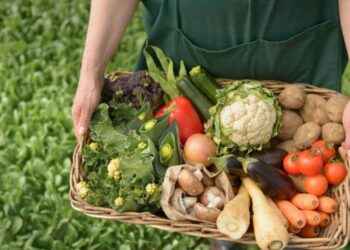 Los concursantes deben postular con una receta que utilice los productos de la AFC.