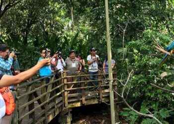 Los mayoría de visitantes se interesan por conocer las riquezas naturales convertidos en sitios turísticos.