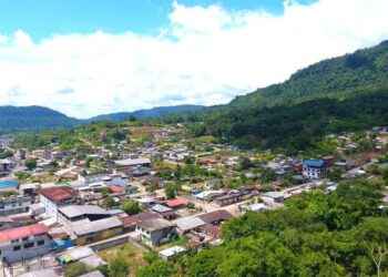 La ciudad de Gonzalo Pizarro rodeada de una grandiosa vegetación.