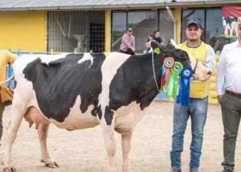 Más de 50 ganaderos de cuatro provincias participaron en la Feria de la parroquia 10 de Agosto.