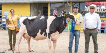 Más de 50 ganaderos de cuatro provincias participaron en la Feria de la parroquia 10 de Agosto.