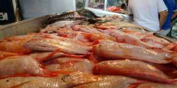 La tilapia roja es parte de la dieta de varios ciudadanos en Sucumbíos