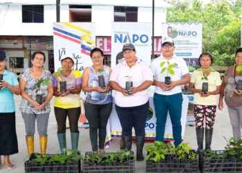 NAPO><Plantas de balsa para Asociación de Mujeres «Flor de Primavera»