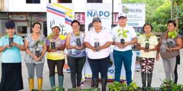 NAPO><Plantas de balsa para Asociación de Mujeres «Flor de Primavera»