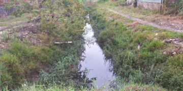 SUCUMBÍOS: INDEPENDIENTE EN LOS BARRIOS