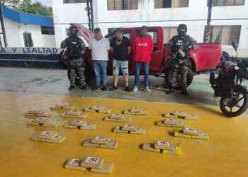 NAPO: Policía detuvo a camioneta que transportaba droga