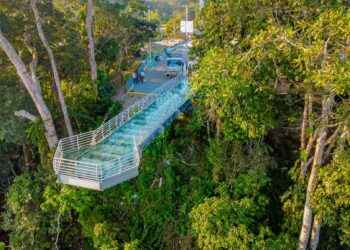 SUCUMBÍOS: primer puente mirador de cristal se inauguró en Lago Agrio