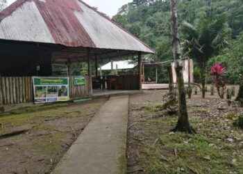 EMPRENDIMIENTO: “SAMANAYACU” O RIO DE DESCANSO EN DASHINO, LOS ESPERA PARA COMPARTIR EN FAMILIA