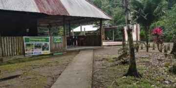 EMPRENDIMIENTO: “SAMANAYACU” O RIO DE DESCANSO EN DASHINO, LOS ESPERA PARA COMPARTIR EN FAMILIA