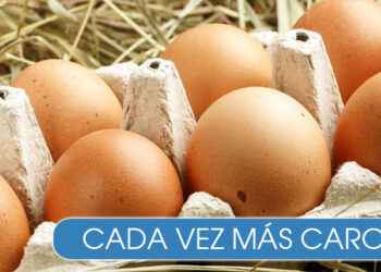 Los huevos sube hasta 20% tras la influenza aviar