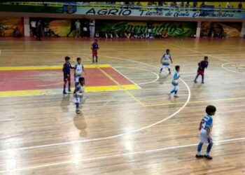 Futbol sala