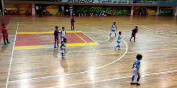 Futbol sala