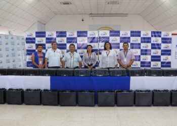 Elecciones anticipadas 2023