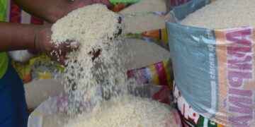 El arroz, un producto cada vez más caro