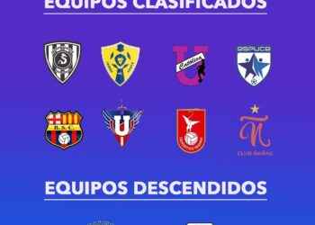Clasificadas y descendidas de la Superliga femenina  