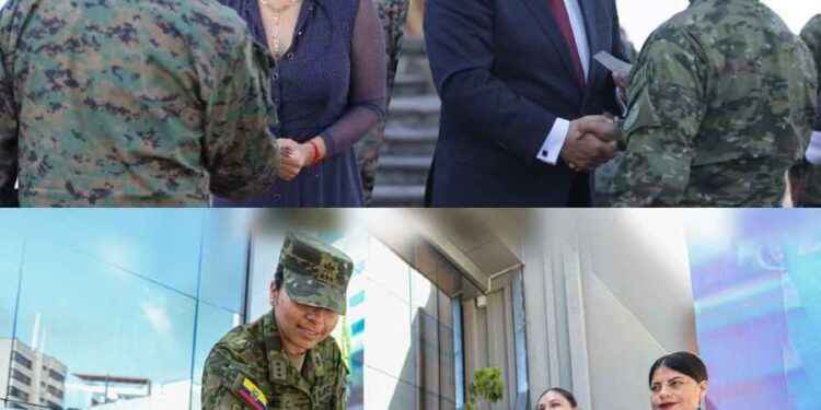 elecciones anticipadas