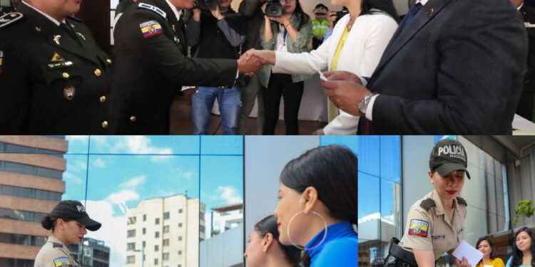 elecciones anticipadas