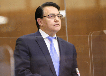 elecciones anticipadas