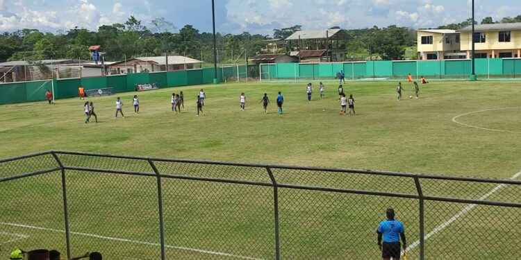 Liga Nacional Femenina Serie A