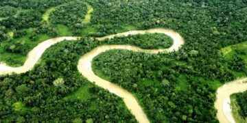 En Sucumbíos y Orellana el NO ganó en la Consulta Popular Yasuní