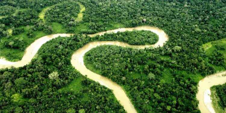 En Sucumbíos y Orellana el NO ganó en la Consulta Popular Yasuní