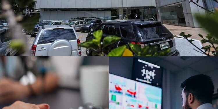 Elecciones anticipadas