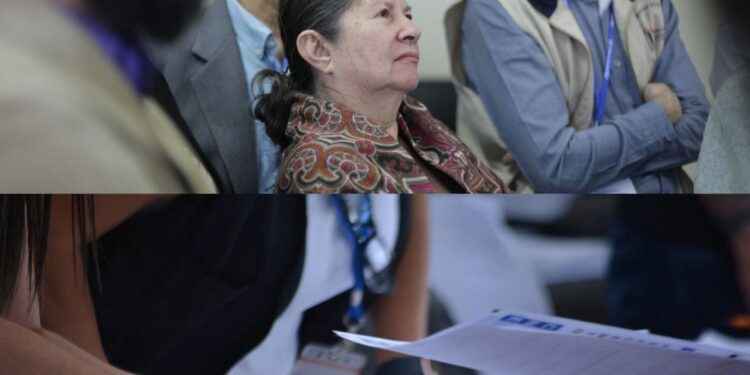 CNE habilita acreditación para observación electoral nacional de ecuatorianos residentes en el exterior.