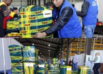 elecciones anticipadas 2023