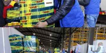 elecciones anticipadas 2023