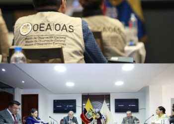 Elecciones anticipadas 2023