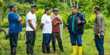 Prefectura de Sucumbíos recupera tierras para la producción, con trabajos de  drenaje.